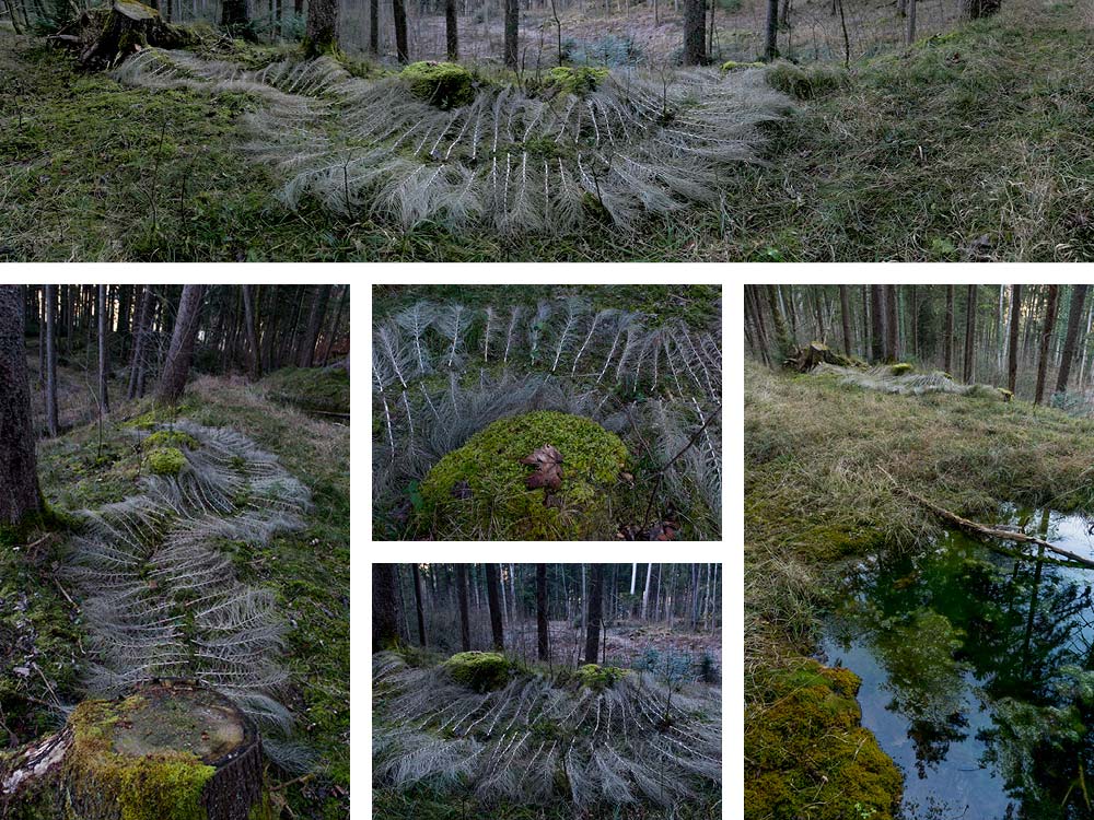 Land Art Achim Booth – Wald 5